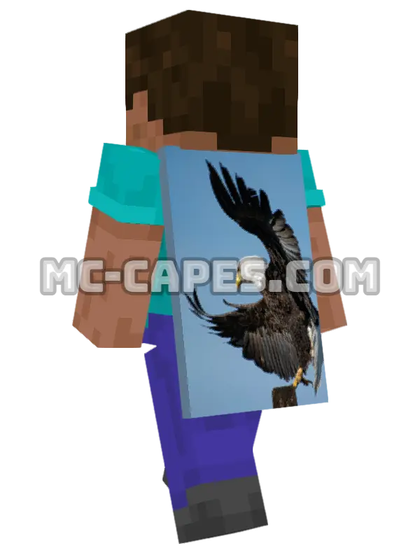Flying Eagle Minecraft cape worn on a player, seen from behind