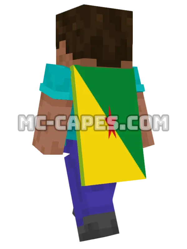 French Guiana Flag Minecraft cape worn on a player, seen from behind