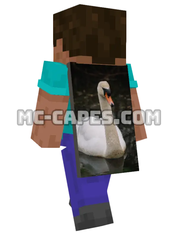 Gliding Swan Minecraft cape worn on a player, seen from behind