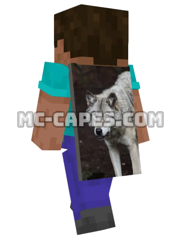Grey Wolf Minecraft cape worn on a player, seen from behind