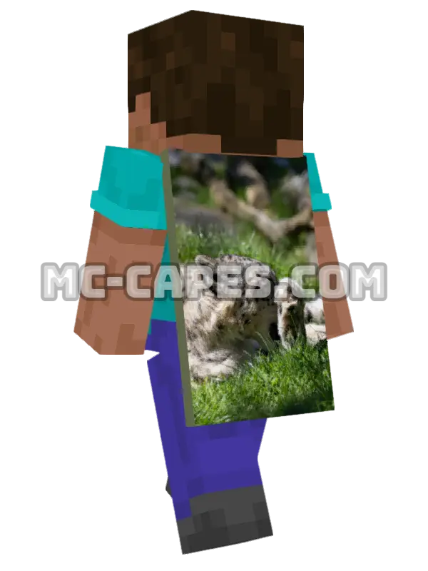 Grooming Snow Leopard Minecraft cape worn on a player, seen from behind