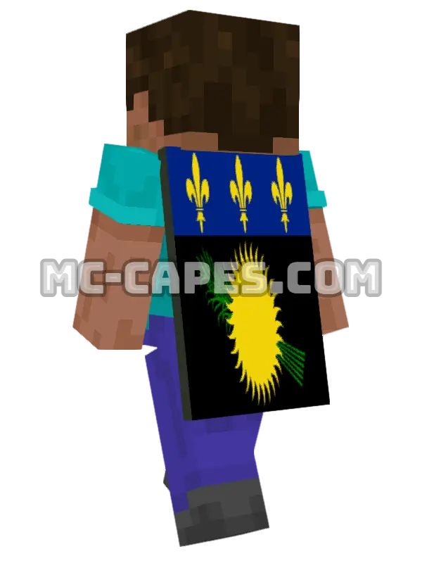 Guadeloupe Flag Minecraft cape worn on a player, seen from behind