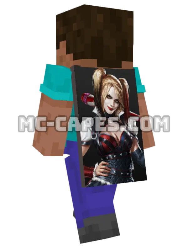 Harley Quinn Minecraft cape worn on a player, seen from behind