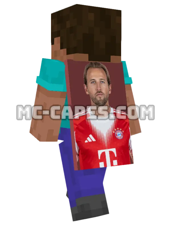 Harry Kane Minecraft cape worn on a player, seen from behind