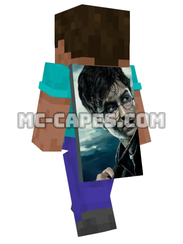 Harry Potter Minecraft cape worn on a player, seen from behind
