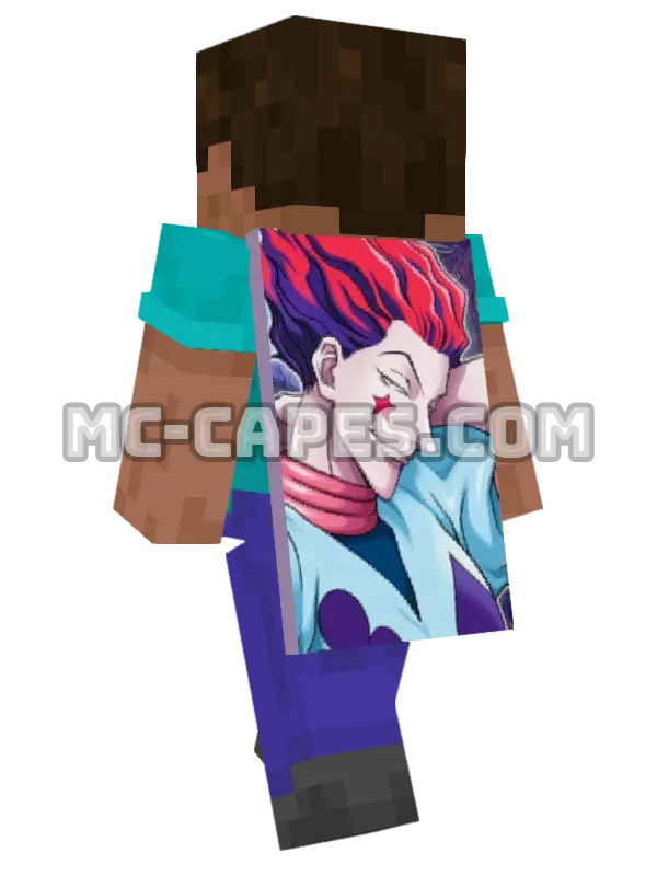 Hisoka Morow Minecraft cape worn on a player, seen from behind