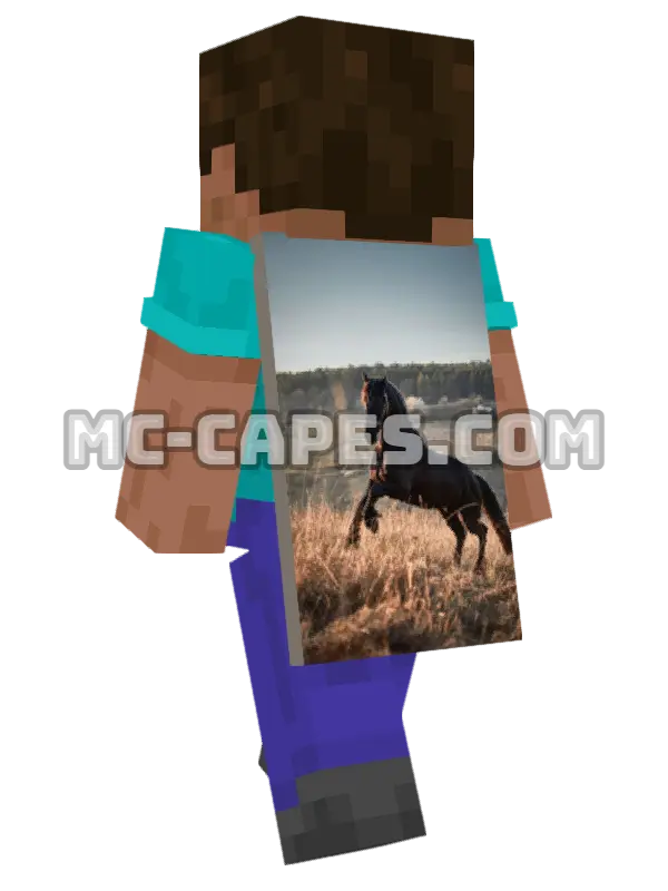 Horse Minecraft cape worn on a player, seen from behind