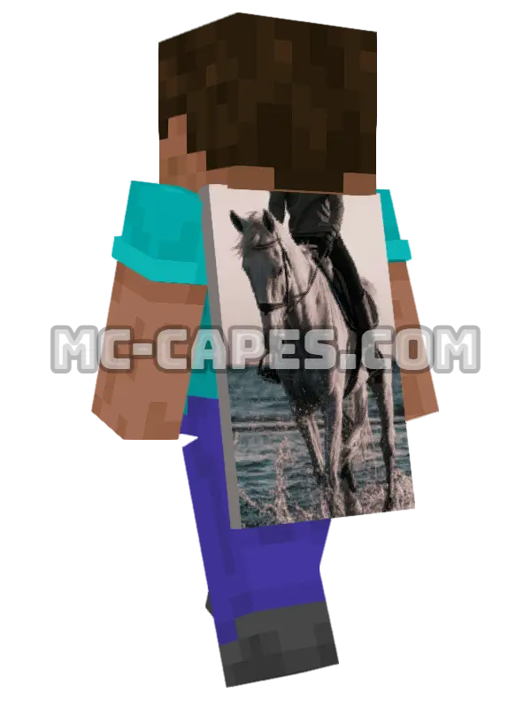 Horse Rider Minecraft cape worn on a player, seen from behind