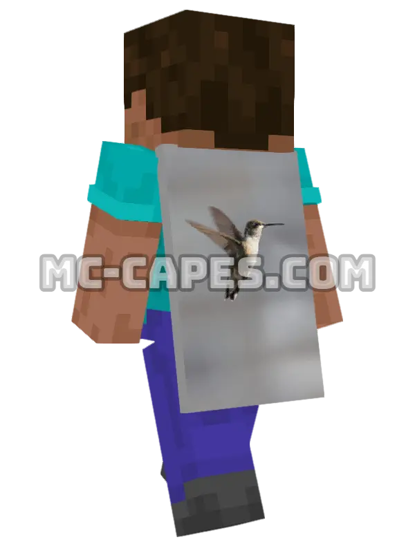 Hovering Hummingbird Minecraft cape worn on a player, seen from behind