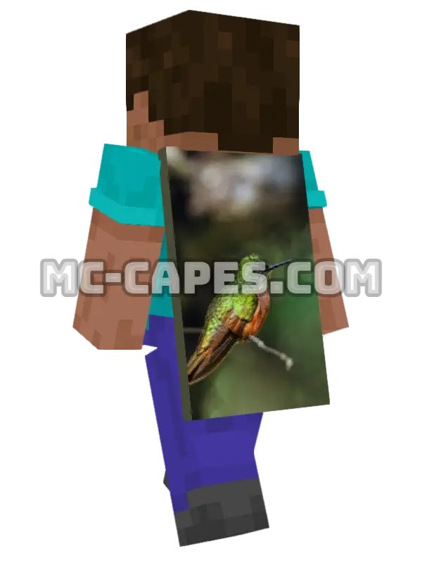Hummingbird Minecraft cape worn on a player, seen from behind