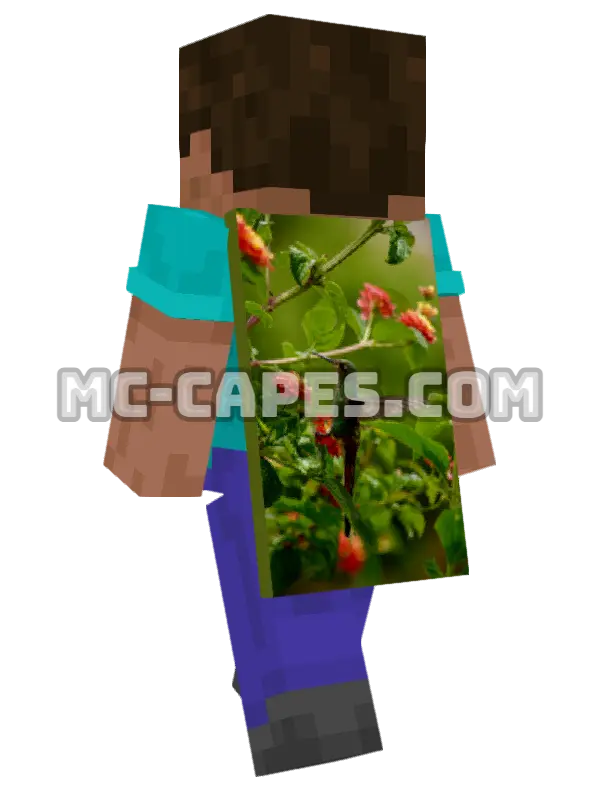 Hummingbird and Flowers Minecraft cape worn on a player, seen from behind