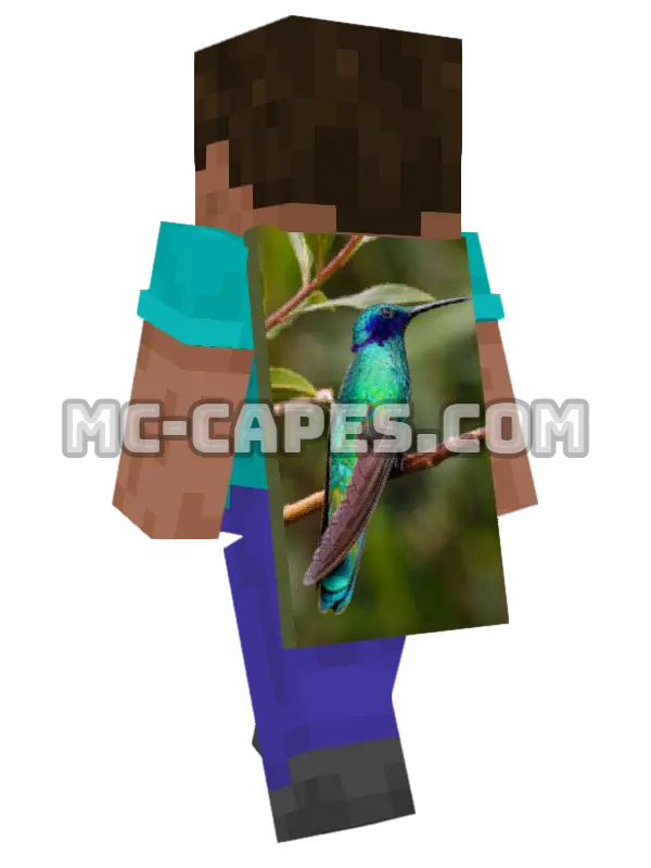 Hummingbird Branch Minecraft cape worn on a player, seen from behind