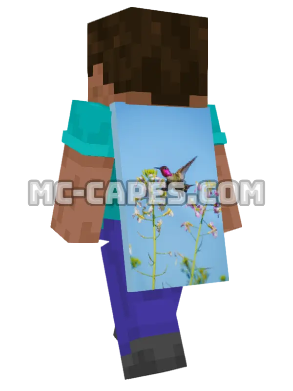 Hummingbird Flowers Minecraft cape worn on a player, seen from behind