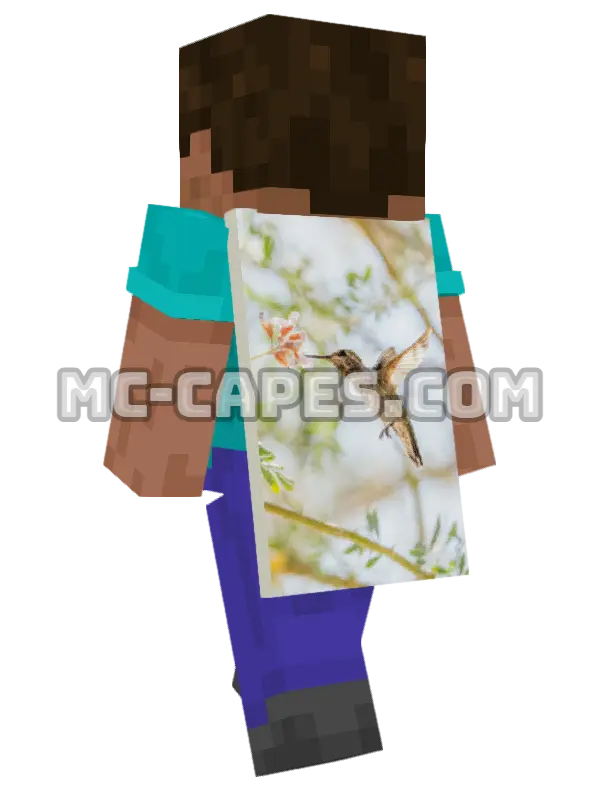 Hummingbird Flying Minecraft cape worn on a player, seen from behind