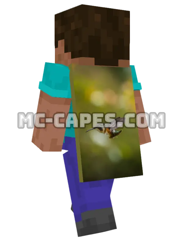 Hummingbird in Flight Minecraft cape worn on a player, seen from behind