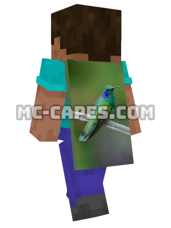 Hummingbird Perch Minecraft cape worn on a player, seen from behind