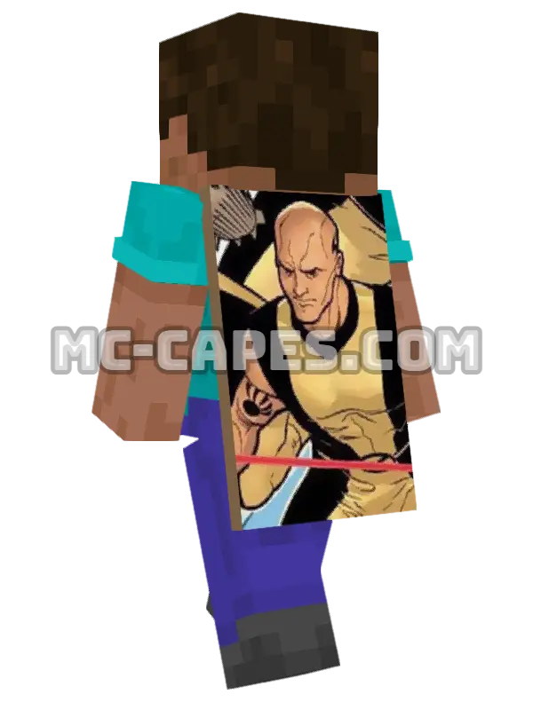Ink Minecraft cape worn on a player, seen from behind