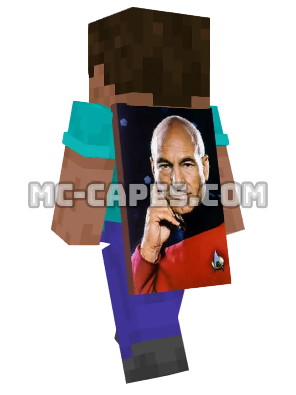 Jean-Luc Picard Minecraft cape worn on a player, seen from behind
