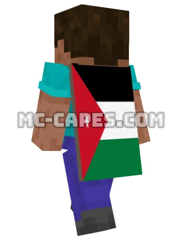 Jordan Flag Minecraft cape worn on a player, seen from behind