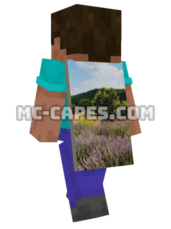 Lavender Field Minecraft cape worn on a player, seen from behind