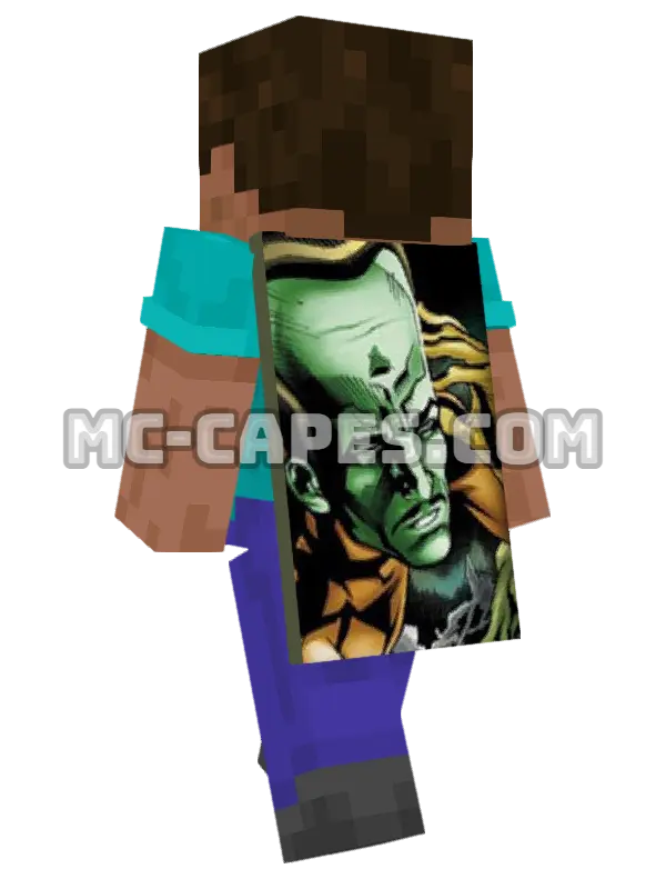 Leader Minecraft cape worn on a player, seen from behind