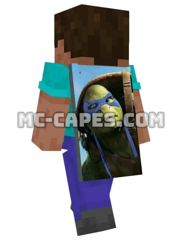 Leonardo Minecraft cape worn on a player, seen from behind