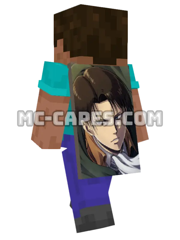 Levi Minecraft cape worn on a player, seen from behind