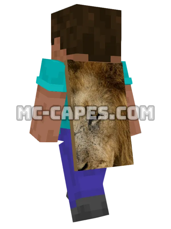 Lion Eye Minecraft cape worn on a player, seen from behind