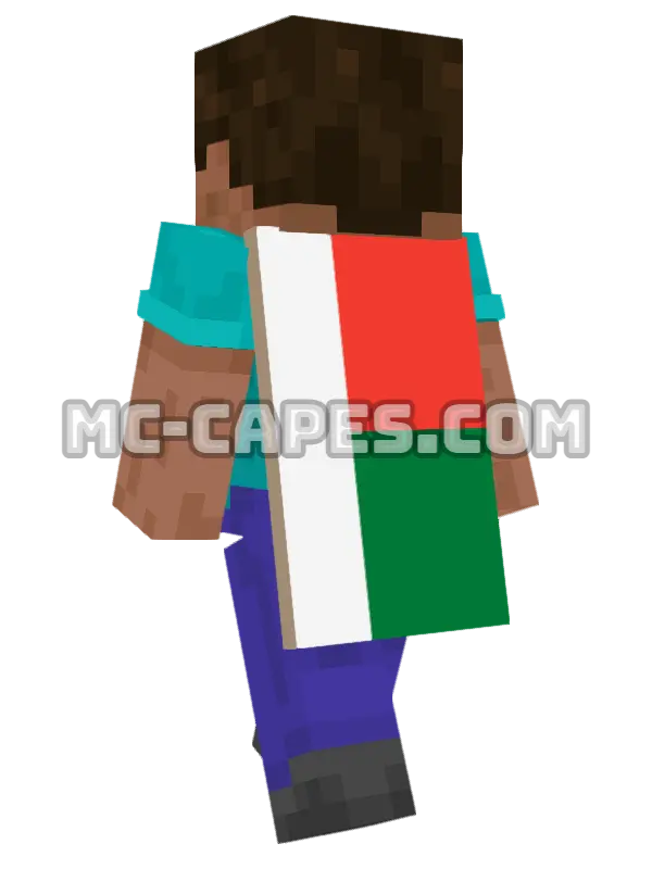 Madagascar Flag Minecraft cape worn on a player, seen from behind