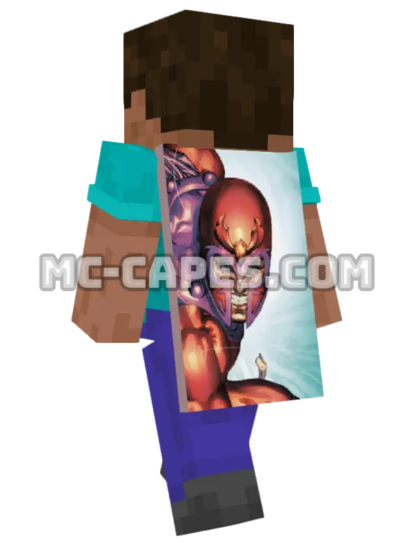 Magneto Minecraft cape worn on a player, seen from behind