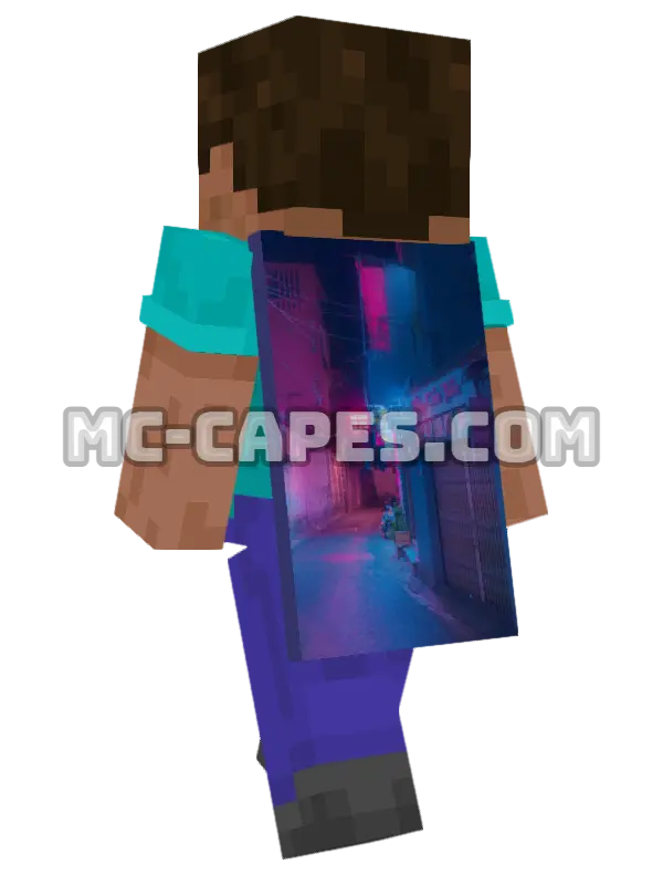 Man On Street Minecraft cape worn on a player, seen from behind