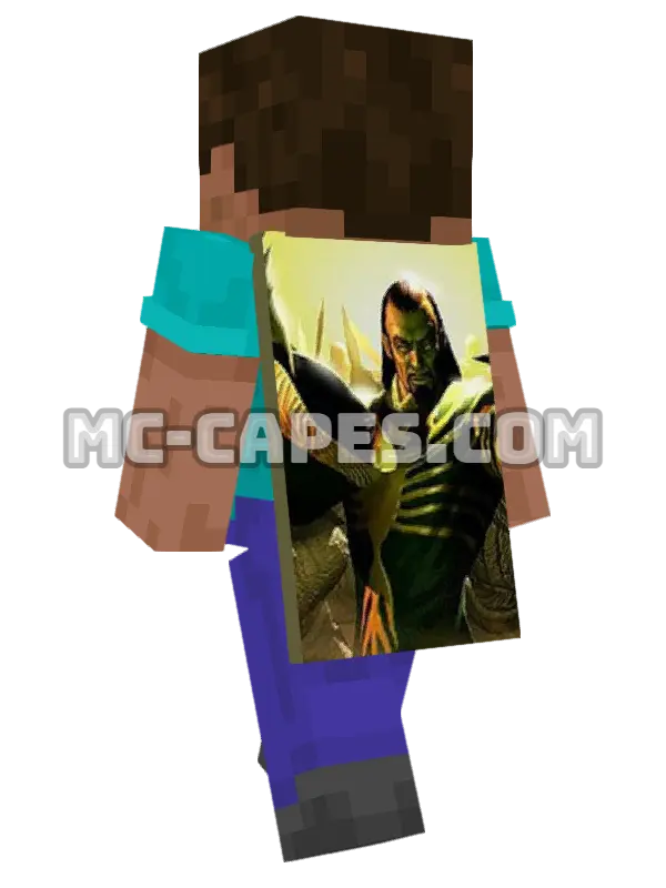 Mandarin Minecraft cape worn on a player, seen from behind