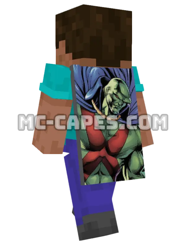 Martian Manhunter Minecraft cape worn on a player, seen from behind