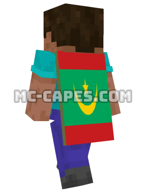Mauritania Flag Minecraft cape worn on a player, seen from behind