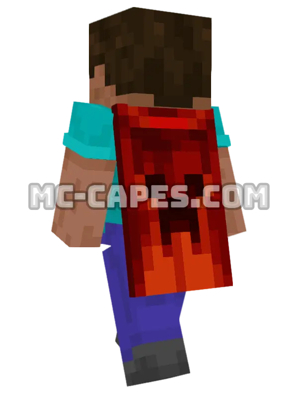 MineCon 2011 Minecraft cape worn on a player, seen from behind