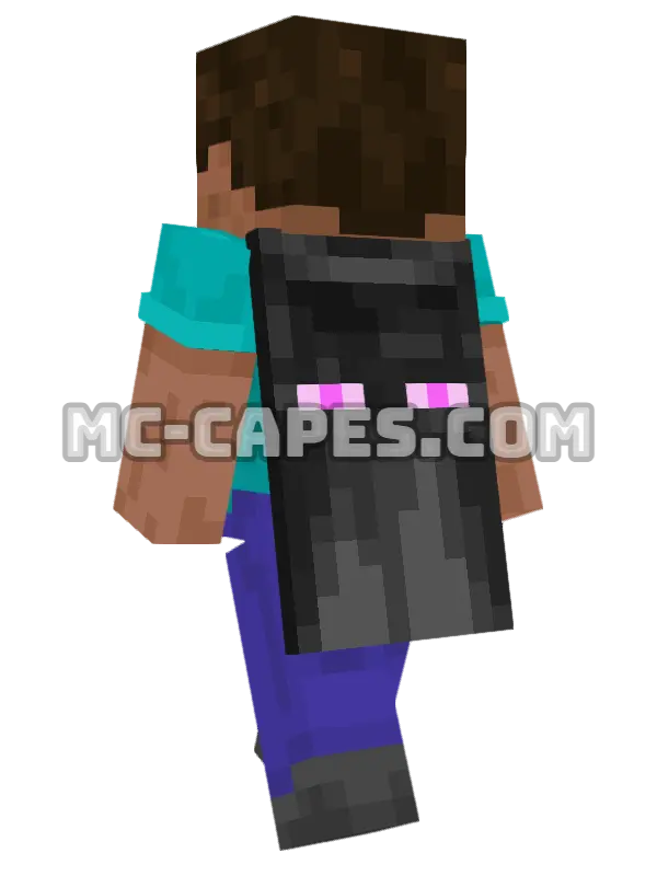 MineCon 2016 Minecraft cape worn on a player, seen from behind