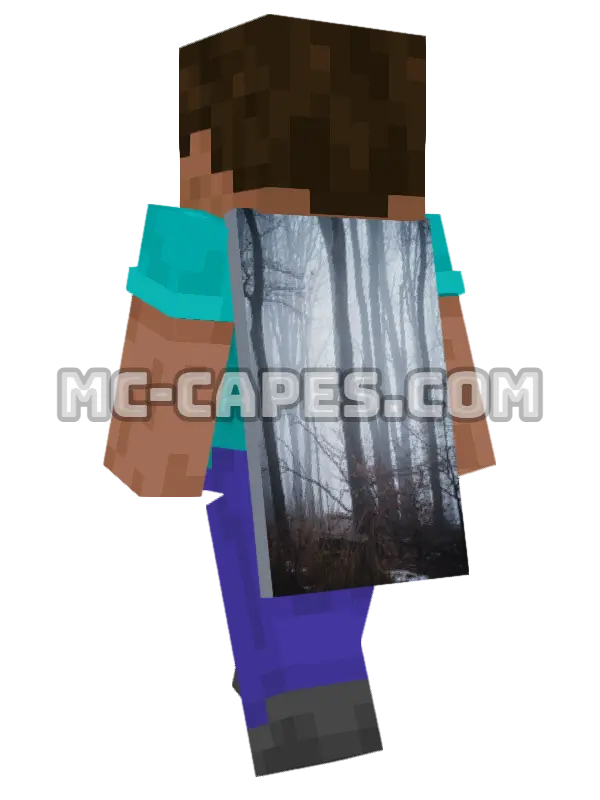 Misty Bare Trees Minecraft cape worn on a player, seen from behind