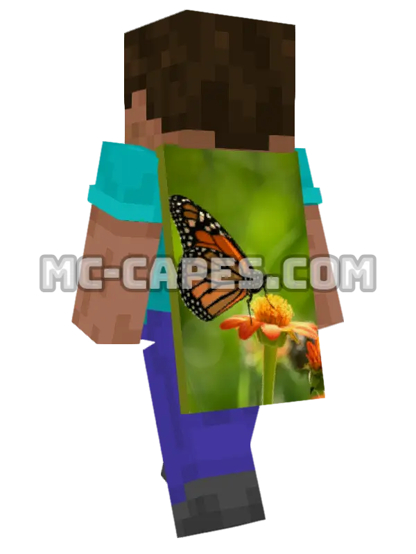 Monarch Butterfly Minecraft cape worn on a player, seen from behind