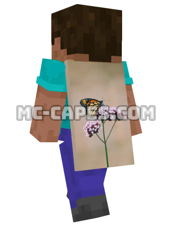 Monarch Butterfly Minecraft cape worn on a player, seen from behind