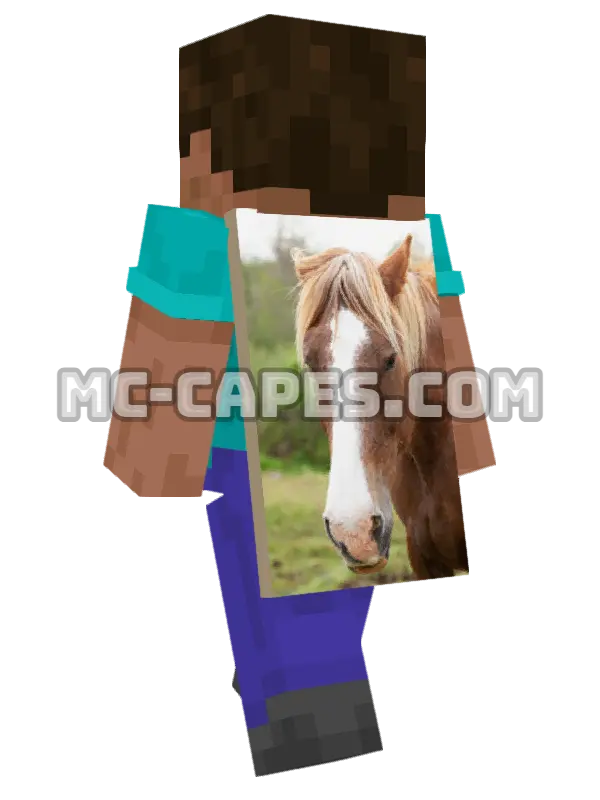 Mont Dore Horse Minecraft cape worn on a player, seen from behind