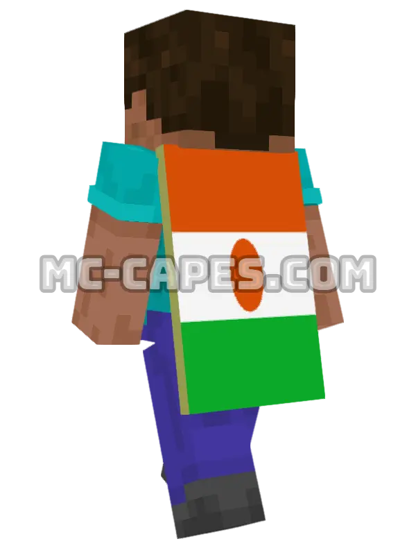 Niger Flag Minecraft cape worn on a player, seen from behind