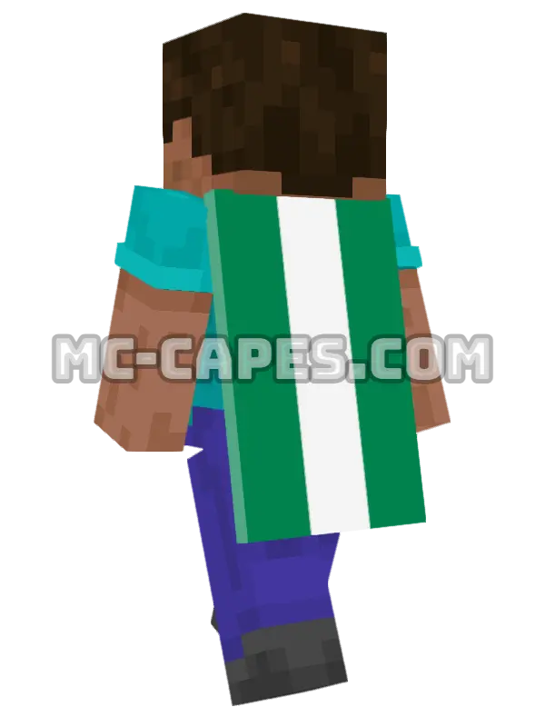 Nigeria Flag Minecraft cape worn on a player, seen from behind