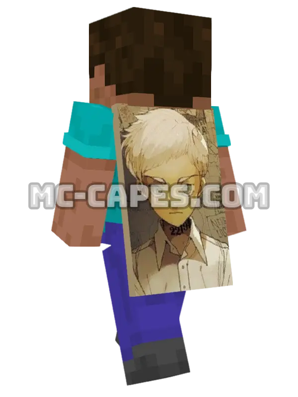 Norman Minecraft cape worn on a player, seen from behind
