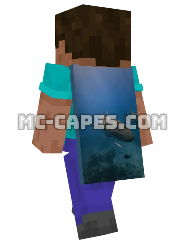 Nurse Shark Minecraft cape worn on a player, seen from behind