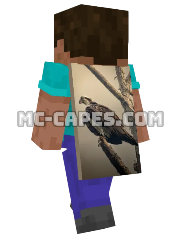 Osprey on Branch Minecraft cape worn on a player, seen from behind