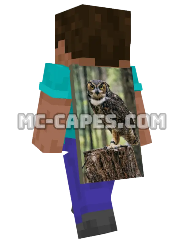 Owl Minecraft cape worn on a player, seen from behind