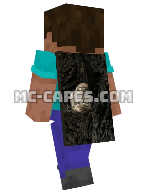 Owlets Nest Minecraft cape worn on a player, seen from behind