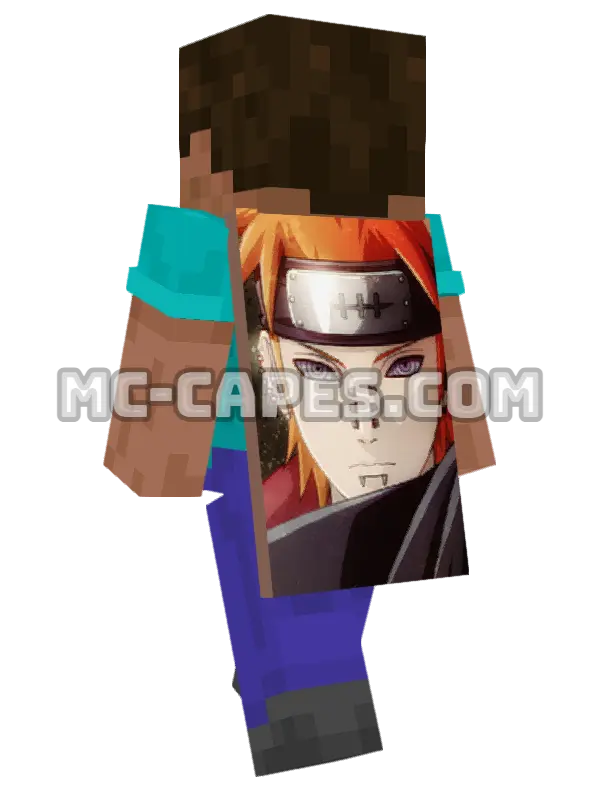 Pain Minecraft cape worn on a player, seen from behind