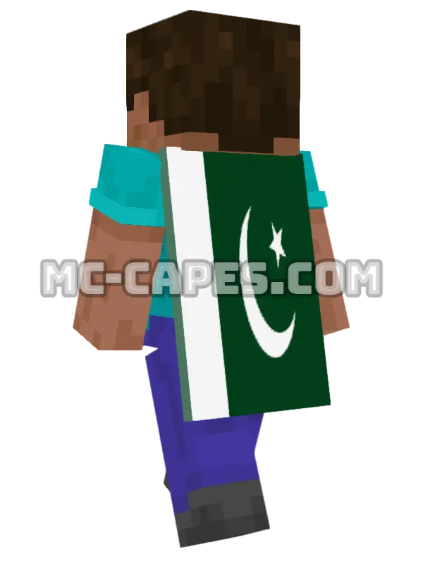 Pakistan Flag Minecraft cape worn on a player, seen from behind