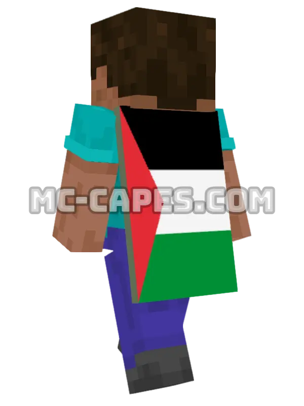 Palestine Flag Minecraft cape worn on a player, seen from behind